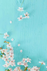 Beautiful Pink Cherry Flowers On Turquoise Blue Wood Board Backdrop Shopbackdrop